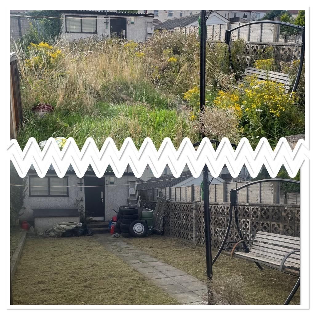 Overgrown garden clearance before and after in Bristol