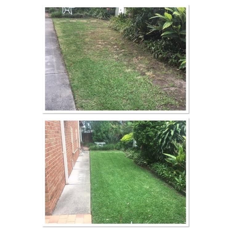 Lawn maintenance before and after in Bristol